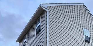 Best Historical Building Siding Restoration  in Mission, TX